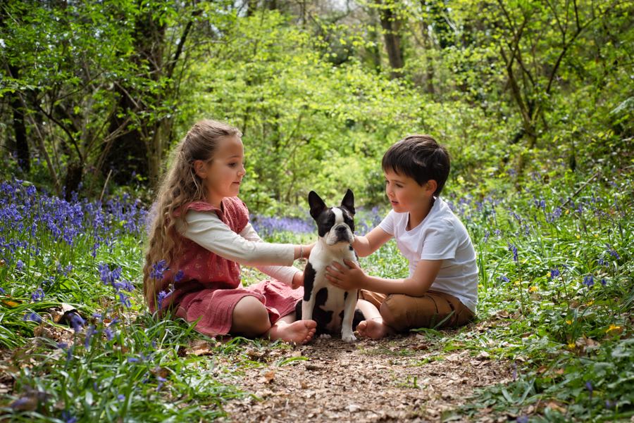 seance famille, seance foret, seance enfant, portrait, photographe vannes, photographe lorient, photographe auray, photographe morbihan, lifestyle-1