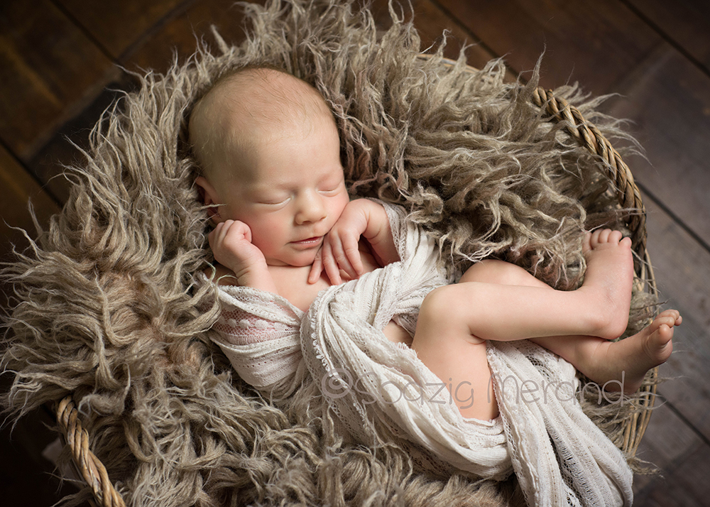image Photographe Naissance Baud 